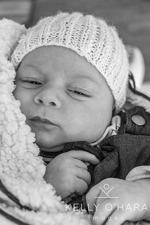 Venter FamilyNewborn August 2021 wm-2-47