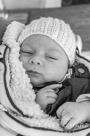 Venter FamilyNewborn August 2021 wm-2-48