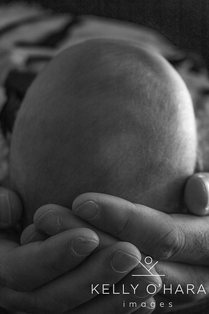 Venter FamilyNewborn August 2021 wm-2-68