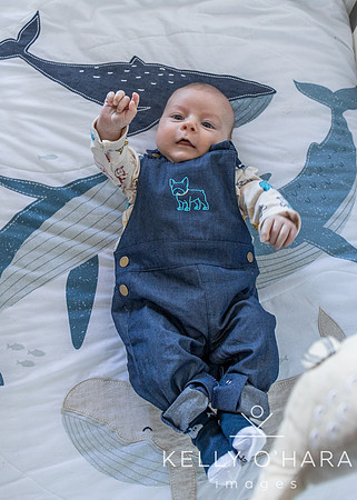 Venter FamilyNewborn August 2021 wm-0185