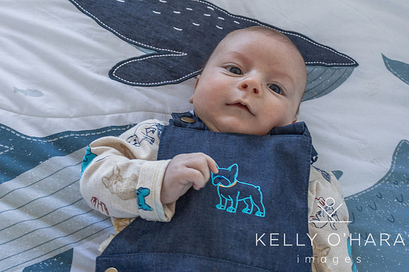 Venter FamilyNewborn August 2021 wm-0193