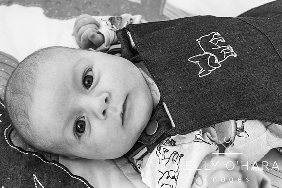 Venter FamilyNewborn August 2021 wm-0239