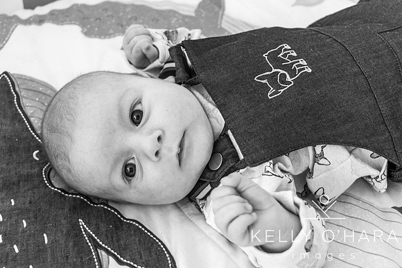 Venter FamilyNewborn August 2021 wm-0241