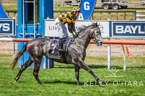 Tauranga Race Course March 15 2025 wm-0376