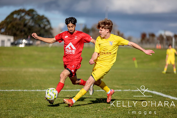Franklin FC vs North Shore United 2024 wm-0593