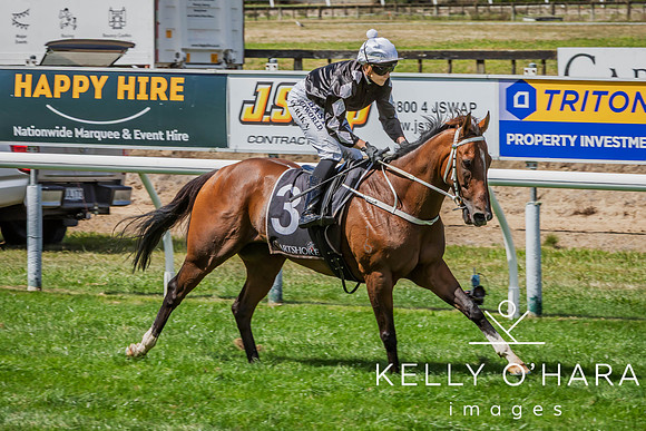 Tauranga Race Course March 15 2025 wm-0383