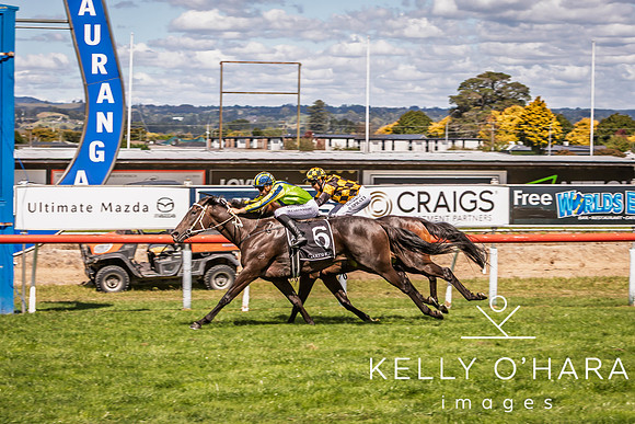 Tauranga Race Course March 15 2025 wm-0944
