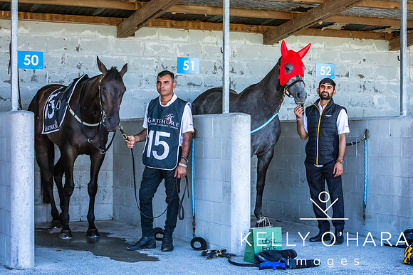 Tauranga Race Course March 15 2025 wm-0085