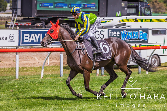 Tauranga Race Course March 15 2025 wm-0901