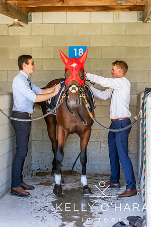 Tauranga Race Course March 15 2025 wm-0101