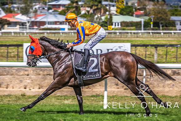 Tauranga Race Course March 15 2025 wm-0916
