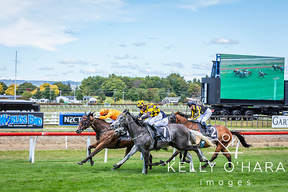 Tauranga Race Course March 15 2025 wm-0360