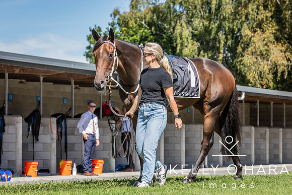 Tauranga Race Course March 15 2025 wm-0016