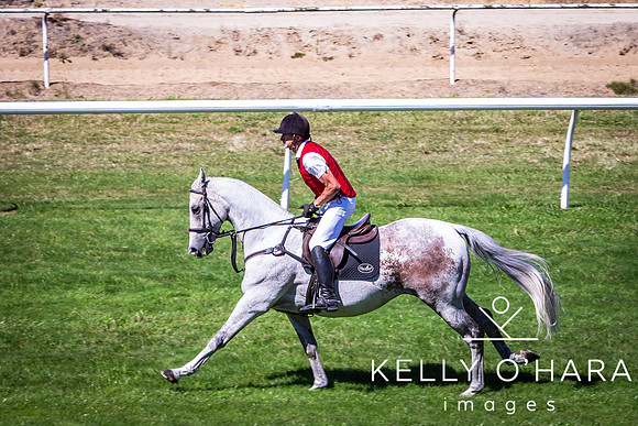 Tauranga Race Course March 15 2025 wm-0218