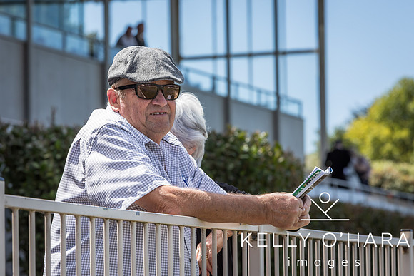 Tauranga Race Course March 15 2025 wm-0452