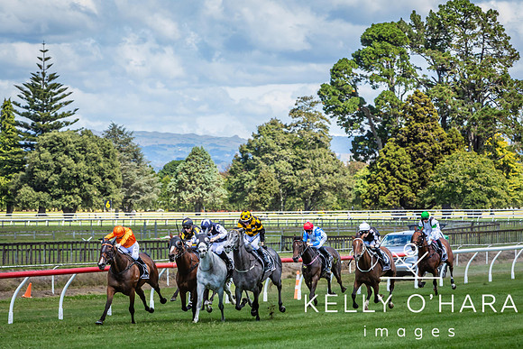Tauranga Race Course March 15 2025 wm-0344