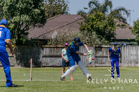 Aquinas Senior Cricket Term 4 2023 wm-9061