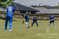 Aquinas Senior Cricket Term 4 2023 wm-8996