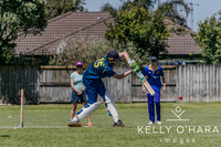 Aquinas Senior Cricket Term 4 2023 wm-9064