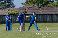 Aquinas Senior Cricket Term 4 2023 wm-9131