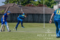 Aquinas Senior Cricket Term 4 2023 wm-9133