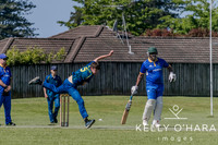Aquinas Senior Cricket Term 4 2023 wm-9144