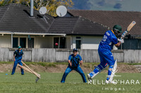 Aquinas Senior Cricket Term 4 2023 wm-9152