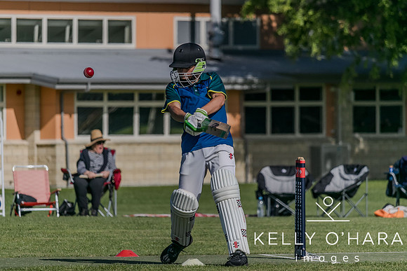 Aquinas Junior Cricket Term 4 2023 wm-8657