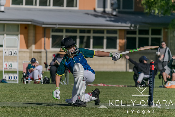 Aquinas Junior Cricket Term 4 2023 wm-8656