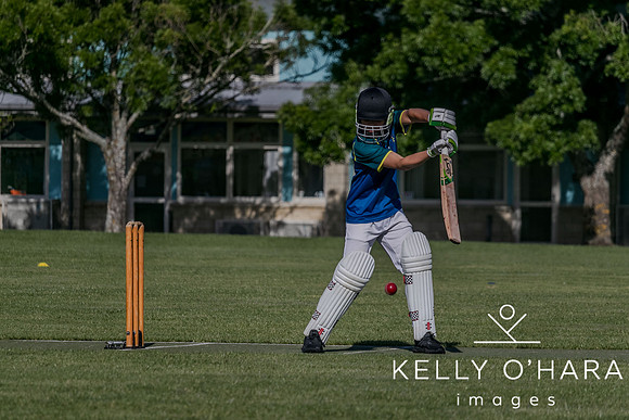Aquinas Junior Cricket Term 4 2023 wm-8650