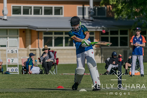 Aquinas Junior Cricket Term 4 2023 wm-8661