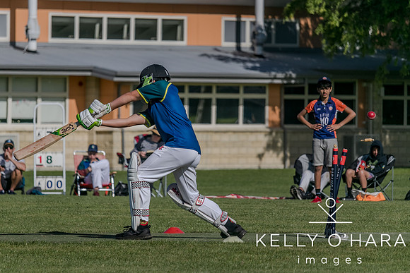 Aquinas Junior Cricket Term 4 2023 wm-8669