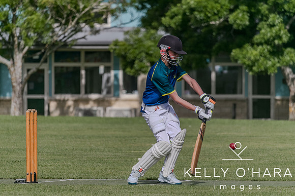 Aquinas Junior Cricket Term 4 2023 wm-8676