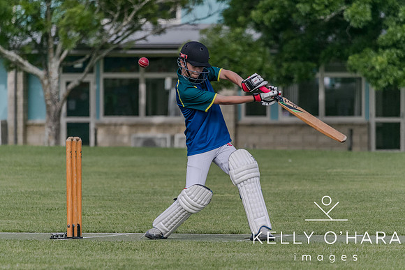 Aquinas Junior Cricket Term 4 2023 wm-8683
