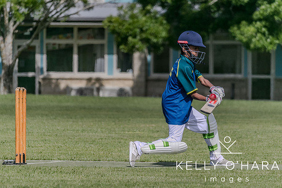 Aquinas Junior Cricket Term 4 2023 wm-8702