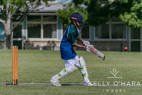 Aquinas Junior Cricket Term 4 2023 wm-8703