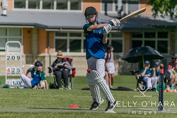 Aquinas Junior Cricket Term 4 2023 wm-8713