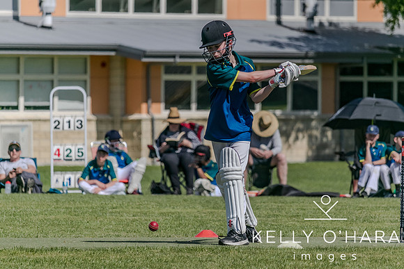 Aquinas Junior Cricket Term 4 2023 wm-8718