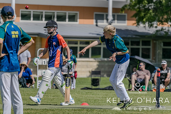 Aquinas Junior Cricket Term 4 2023 wm-8749