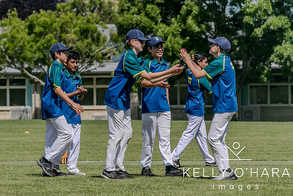 Aquinas Junior Cricket Term 4 2023 wm-8762