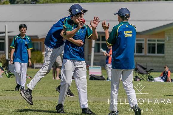 Aquinas Junior Cricket Term 4 2023 wm-8771