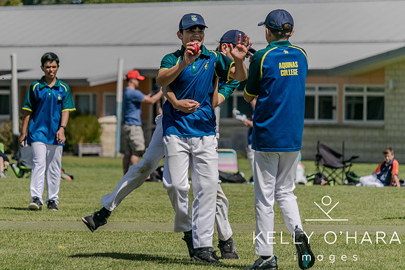 Aquinas Junior Cricket Term 4 2023 wm-8772