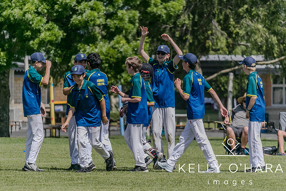 Aquinas Junior Cricket Term 4 2023 wm-8811