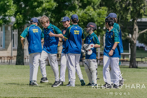 Aquinas Junior Cricket Term 4 2023 wm-8815