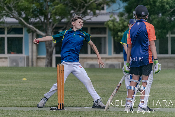 Aquinas Junior Cricket Term 4 2023 wm-8816