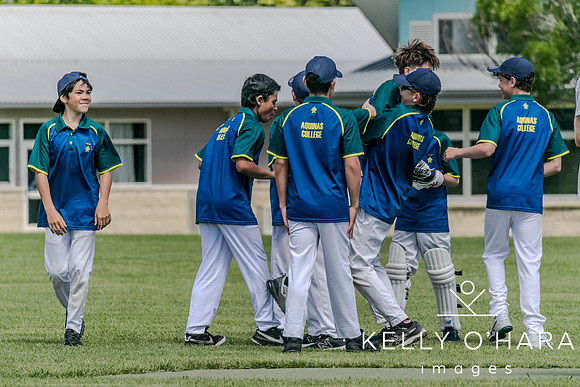 Aquinas Junior Cricket Term 4 2023 wm-8824
