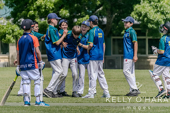 Aquinas Junior Cricket Term 4 2023 wm-8837