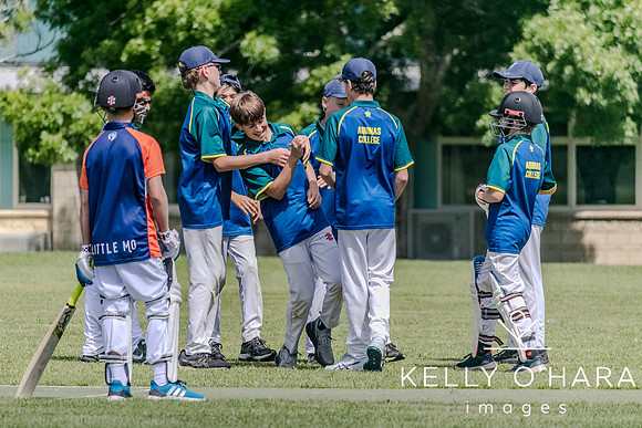 Aquinas Junior Cricket Term 4 2023 wm-8838