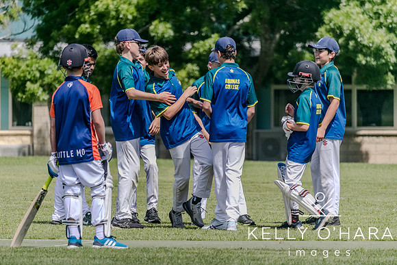Aquinas Junior Cricket Term 4 2023 wm-8839