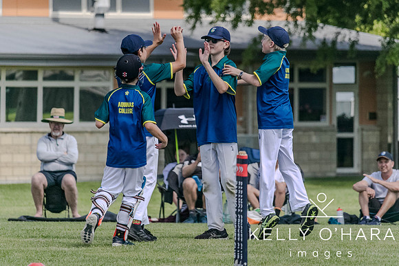Aquinas Junior Cricket Term 4 2023 wm-8842